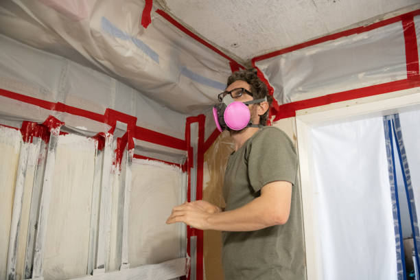 Best Attic Mold Removal  in Golden Valley, MN