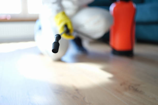Best Emergency Mold Remediation  in Golden Valley, MN